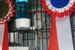 Img_0220