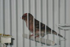 Img_1144