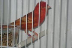 Img_1248