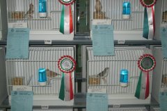 Img_1258