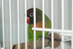 Img_1275