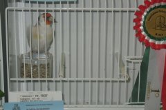 Img_1675