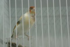 Img_1715