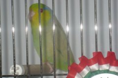 Img_1766