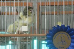Img_1776