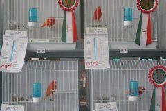 Img_1800