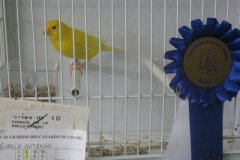 Img_1815