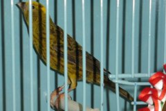 Img_3752