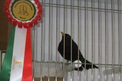 Img_3756