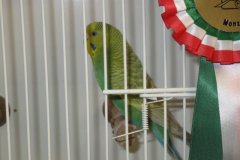 Img_3776