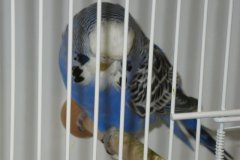 Img_3784