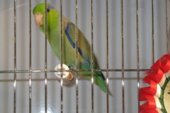 Img_3791