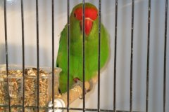 Img_3795