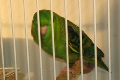 Img_3798