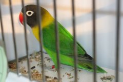 Img_3802