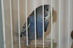 Img_3820