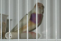 Img_3822