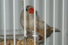 Img_3838