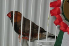 Img_3852