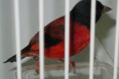 Img_3855