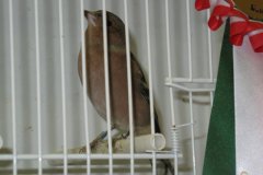 Img_3856