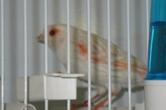 Img_3863