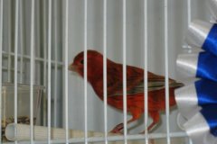 Img_3877