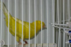 Img_3880