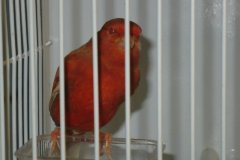 Img_3882