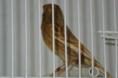 Img_3893