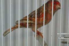 Img_3895