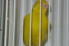 Img_3896