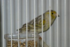Img_3897