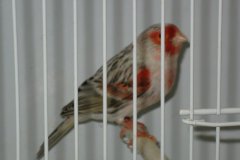 Img_3899