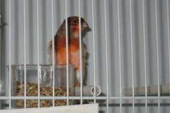 Img_3935