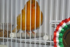 Img_3945