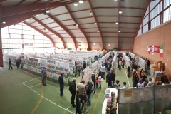 Esposizione