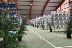 Esposizione