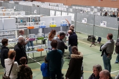 Esposizione