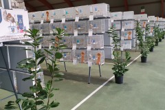 Esposizione