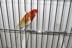 Img_0924