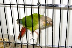 Img_0932
