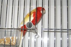 Img_0936