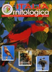 IO_jan2004