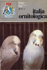 IO_janfeb1981