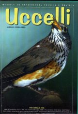 uccelli_jan2008